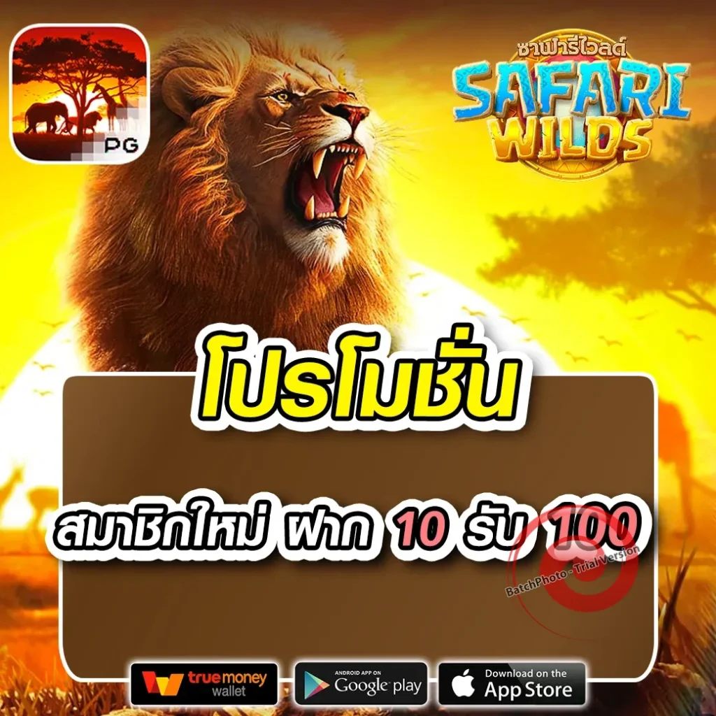 siam 99